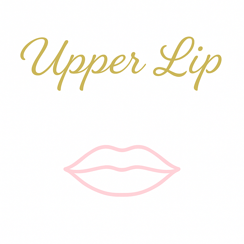 Upper Lip